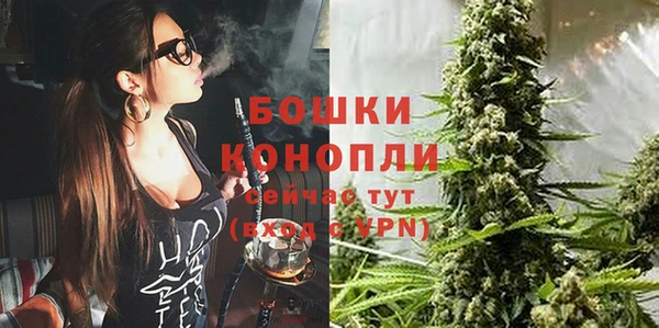 стаф Нягань