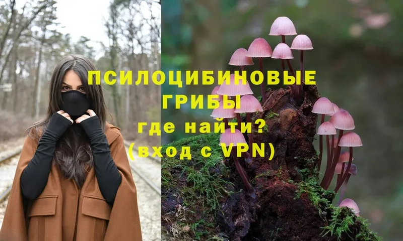 OMG ССЫЛКА  цены наркотик  Краснокамск  Псилоцибиновые грибы Psilocybe 